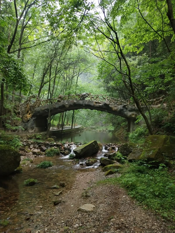 平凹国际家居 | 青春有梦，不负时光，共赏湖光山色！